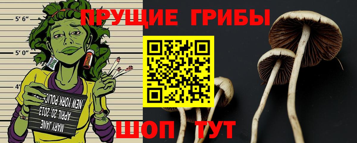Псилоцибиновые грибы прущие грибы  Псилоцибиновые грибы прущие грибы  дарнет шоп  Вход с VPN  Сатка 